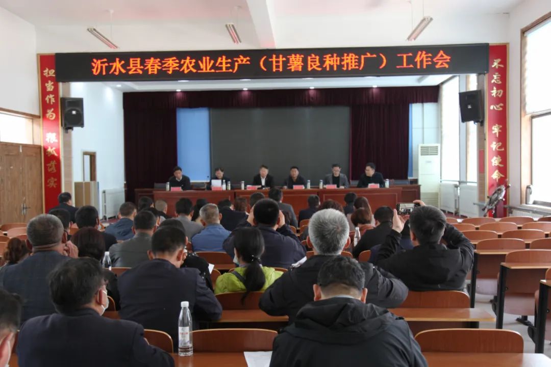政府搭好台，利记sbobetAPP官网唱好戏 | 小红薯做成大产业