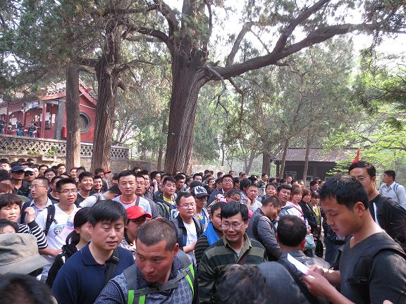 春意盎然,又是一年登山时