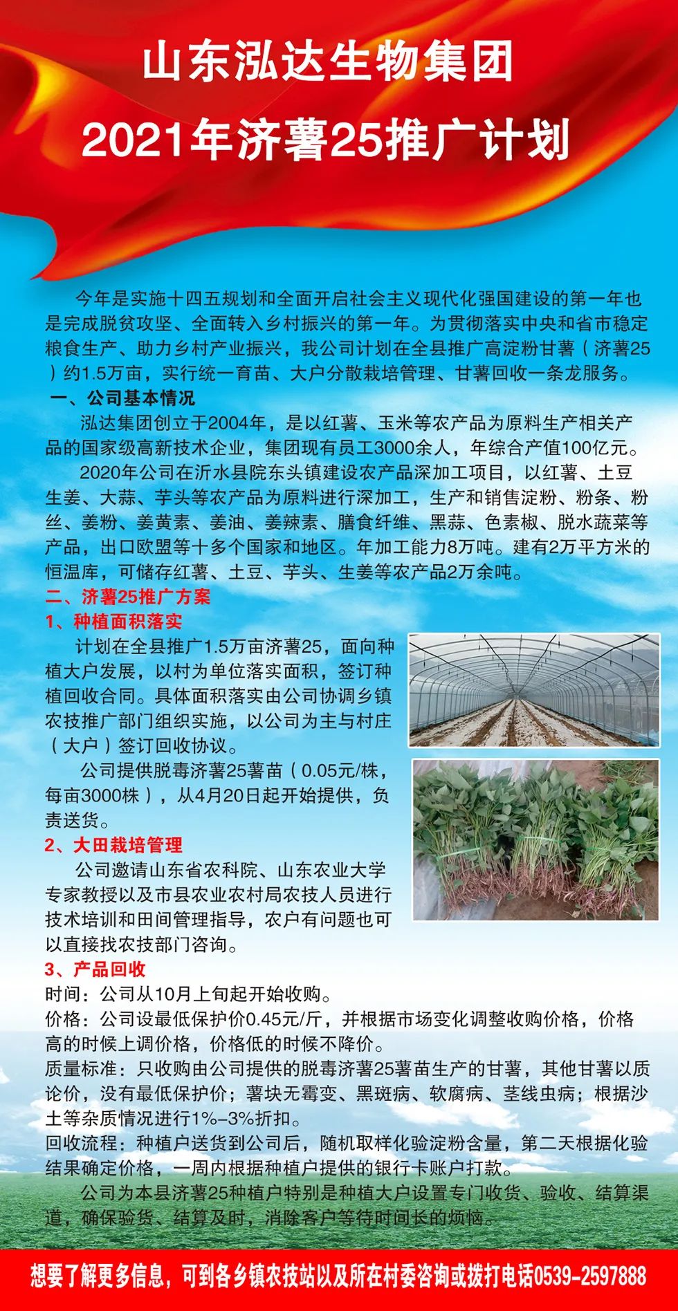 政府搭好台，利记sbobetAPP官网唱好戏 | 小红薯做成大产业