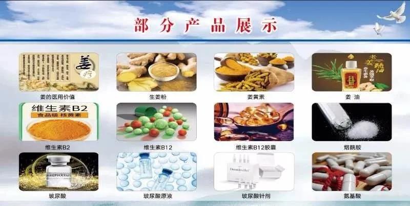 开工，投资20亿元！利记sbobetAPP官网生姜高效资源化综合利用项目盛大奠基